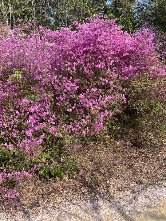 貴船神社の自然