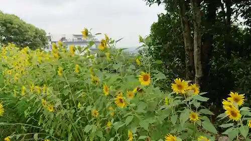 枚岡神社の自然