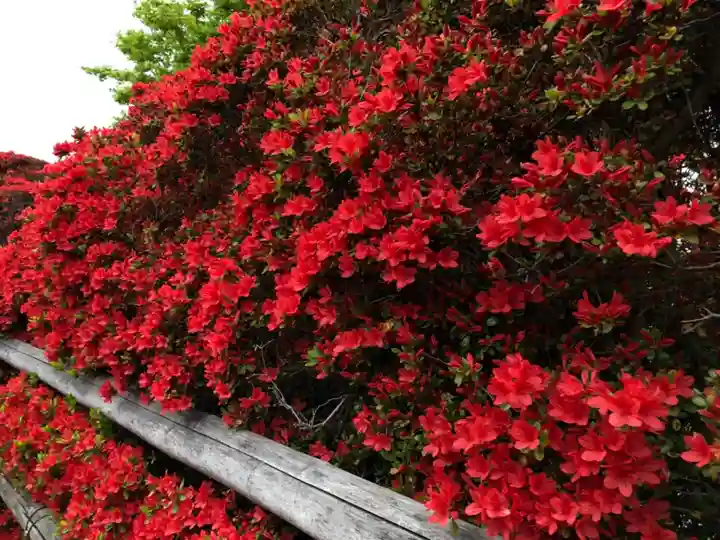 長岡天満宮の庭園