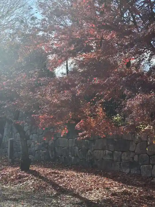 北野天満宮(京都府)