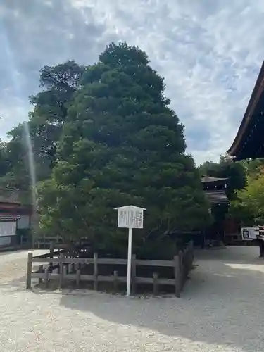 賀茂御祖神社（下鴨神社）のその他建物