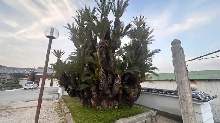 妙泉寺(兵庫県)