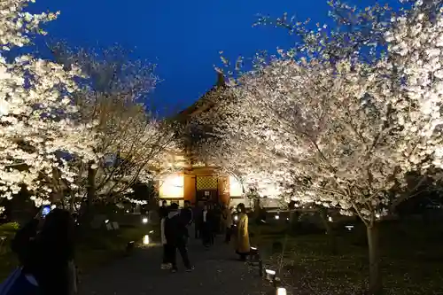 東寺（教王護国寺）(京都府)