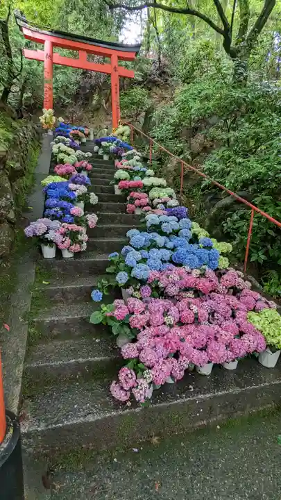 柳谷観音 楊谷寺(京都府)