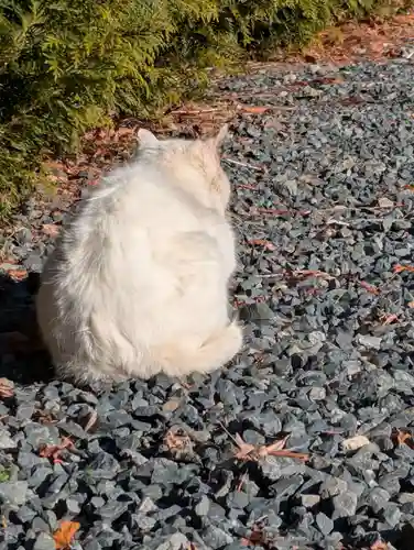 盛岡八幡宮(岩手県)