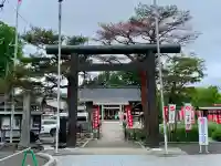 櫻岡大神宮の鳥居