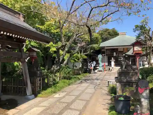 龍泉寺の狛犬