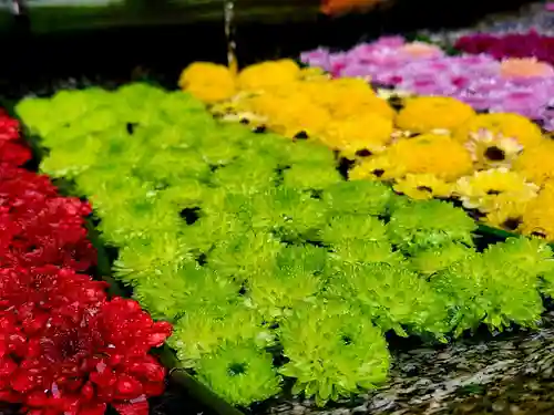 木幡山隠津島神社(二本松市)(福島県)