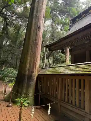 奥宮(鹿島神宮摂社)(茨城県)