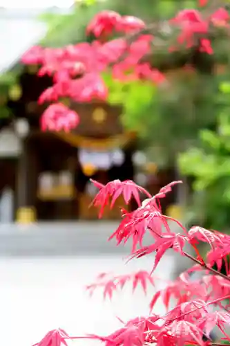 西野神社(北海道)