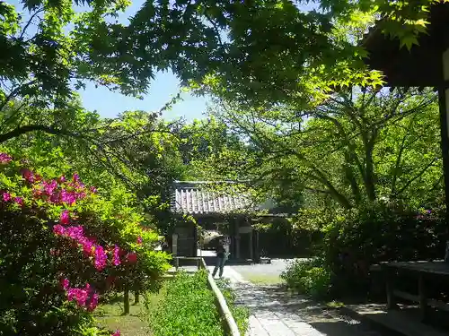 浄光明寺の庭園