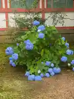 出石神社(兵庫県)