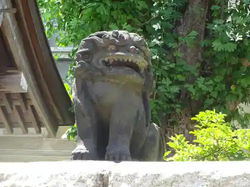 諏訪神社の狛犬