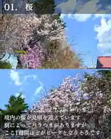 宝光寺(北海道)