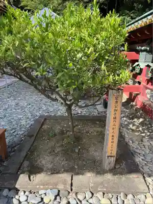 久能山東照宮(静岡県)