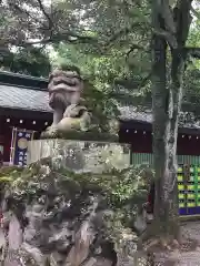 大國魂神社の狛犬