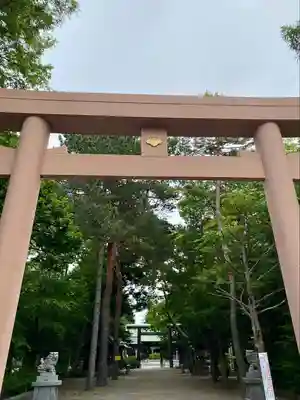 琴似神社(北海道)