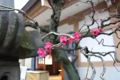 穏田神社(東京都)