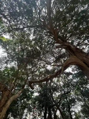 海上八幡宮(千葉県)