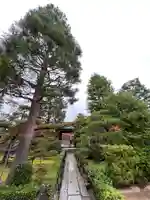 大仙院(京都府)