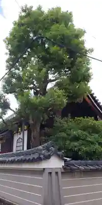 常施無畏寺　護浄院（清荒神）のその他建物