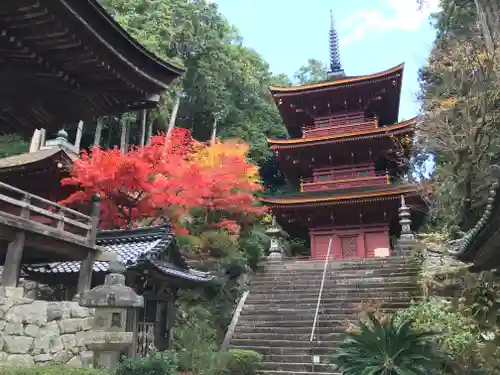 長命寺の建物その他