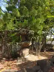 野々上八幡神社の建物その他