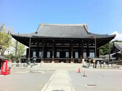 くろ谷 金戒光明寺の本殿・本堂