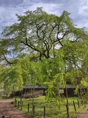 清雲寺(埼玉県)
