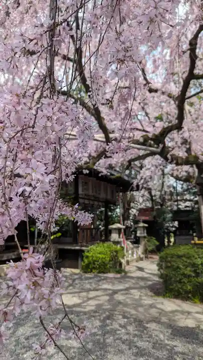 水火天満宮(京都府)