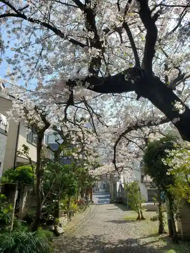 秋葉神社(東京都)