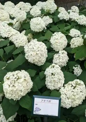 三宮社(愛知県)