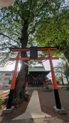稲荷神社の{uncategorized: "未分類", other: "その他", undefined: "問題あり", building: "その他建物", grave: "お墓", sacred_gate: "鳥居", guardian: "狛犬", statue: "像", buddha: "仏像", history: "歴史", nature: "自然", garden: "庭園", animal: "動物", pagoda: "塔", temizu: "手水舎", mountain_gate: "山門・神門", sanctuary: "本殿・本堂", subordinate: "末社・摂社", art: "芸術", scenery: "景色", jizo: "地蔵", ema: "絵馬", goshuin: "御朱印", omikuji: "おみくじ", items: "授与品その他", amulet: "お守り", goshuincho: "御朱印帳", eats: "食事", festival: "お祭り", votive_dance: "神楽", shichigosan: "七五三参", wedding: "結婚式", experience: "体験その他", initially: "初詣", around: "周辺", anti_infection: "感染症対策"}