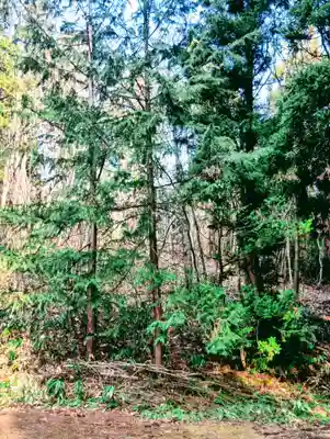 諏訪神社(福島県)