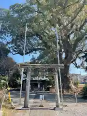 伊勢神明社の鳥居