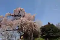 貝山薬師堂の本殿・本堂