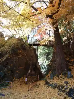 行道山 浄因寺(栃木県)