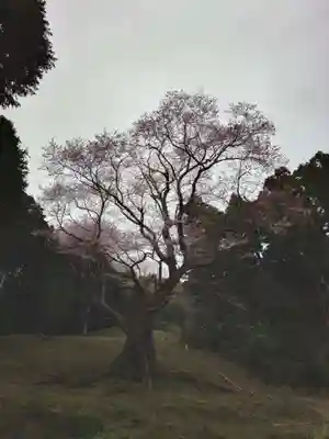 廣實神社(山口県)