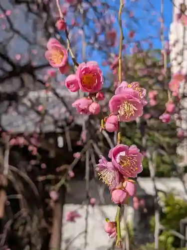 長円寺(東京都)