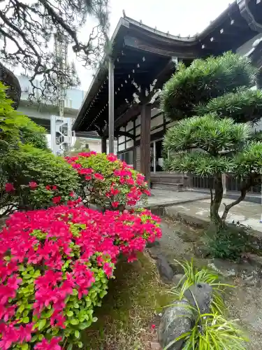 蓮長寺(東京都)