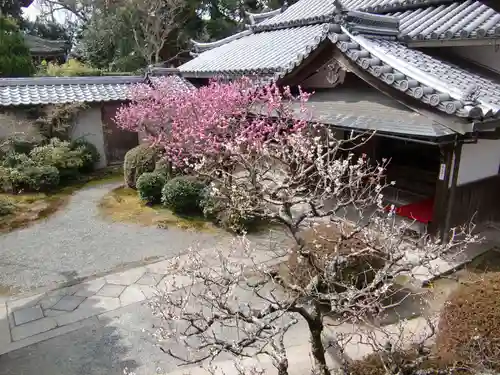 穴太寺(京都府)