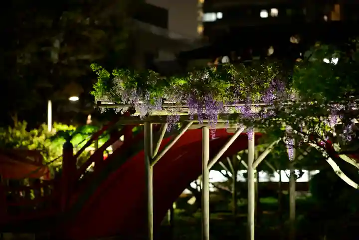 亀戸天神社(東京都)