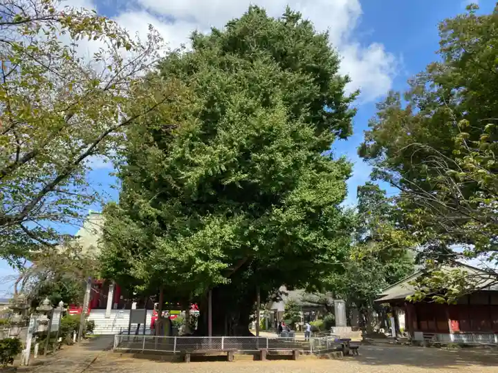 千葉寺(千葉県)