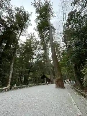 伊勢神宮内宮（皇大神宮）の{uncategorized: "未分類", other: "その他", undefined: "問題あり", building: "その他建物", grave: "お墓", sacred_gate: "鳥居", guardian: "狛犬", statue: "像", buddha: "仏像", history: "歴史", nature: "自然", garden: "庭園", animal: "動物", pagoda: "塔", temizu: "手水舎", mountain_gate: "山門・神門", sanctuary: "本殿・本堂", subordinate: "末社・摂社", art: "芸術", scenery: "景色", jizo: "地蔵", ema: "絵馬", goshuin: "御朱印", omikuji: "おみくじ", items: "授与品その他", amulet: "お守り", goshuincho: "御朱印帳", eats: "食事", festival: "お祭り", votive_dance: "神楽", shichigosan: "七五三参", wedding: "結婚式", experience: "体験その他", initially: "初詣", around: "周辺", anti_infection: "感染症対策"}