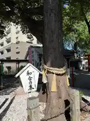 田光八幡社(愛知県)