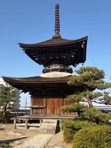大樹寺（松安院大樹寺）の{uncategorized: "未分類", other: "その他", undefined: "問題あり", building: "その他建物", grave: "お墓", sacred_gate: "鳥居", guardian: "狛犬", statue: "像", buddha: "仏像", history: "歴史", nature: "自然", garden: "庭園", animal: "動物", pagoda: "塔", temizu: "手水舎", mountain_gate: "山門・神門", sanctuary: "本殿・本堂", subordinate: "末社・摂社", art: "芸術", scenery: "景色", jizo: "地蔵", ema: "絵馬", goshuin: "御朱印", omikuji: "おみくじ", items: "授与品その他", amulet: "お守り", goshuincho: "御朱印帳", eats: "食事", festival: "お祭り", votive_dance: "神楽", shichigosan: "七五三参", wedding: "結婚式", experience: "体験その他", initially: "初詣", around: "周辺", anti_infection: "感染症対策"}