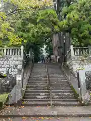 戸隠神社中社(長野県)