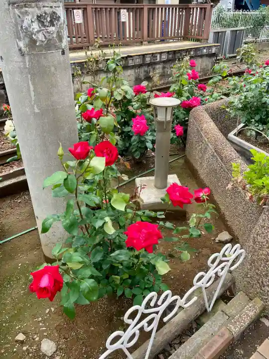 白龍弁財天の{uncategorized: "未分類", other: "その他", undefined: "問題あり", building: "その他建物", grave: "お墓", sacred_gate: "鳥居", guardian: "狛犬", statue: "像", buddha: "仏像", history: "歴史", nature: "自然", garden: "庭園", animal: "動物", pagoda: "塔", temizu: "手水舎", mountain_gate: "山門・神門", sanctuary: "本殿・本堂", subordinate: "末社・摂社", art: "芸術", scenery: "景色", jizo: "地蔵", ema: "絵馬", goshuin: "御朱印", omikuji: "おみくじ", items: "授与品その他", amulet: "お守り", goshuincho: "御朱印帳", eats: "食事", festival: "お祭り", votive_dance: "神楽", shichigosan: "七五三参", wedding: "結婚式", experience: "体験その他", initially: "初詣", around: "周辺", anti_infection: "感染症対策"}