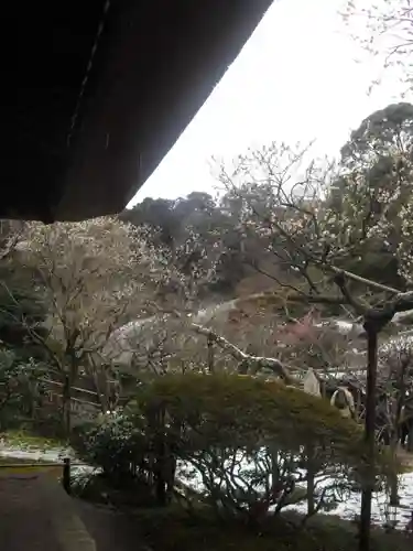 東慶寺の庭園