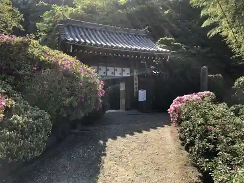 船宿寺の山門